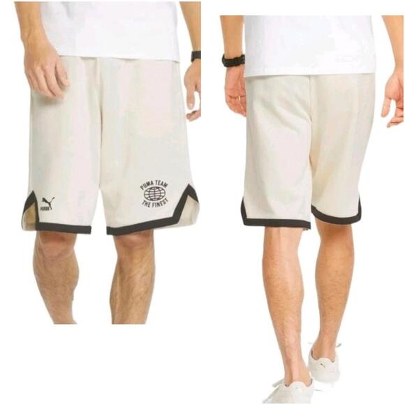 Puma Team Shorts 8
